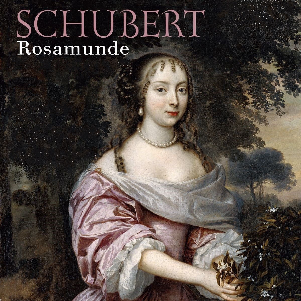 Schubert - Rosamunde Andante Quarteto nº 13 em Lá Menor, D.804