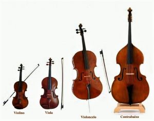 Instrumentos da orquestra: As cordas