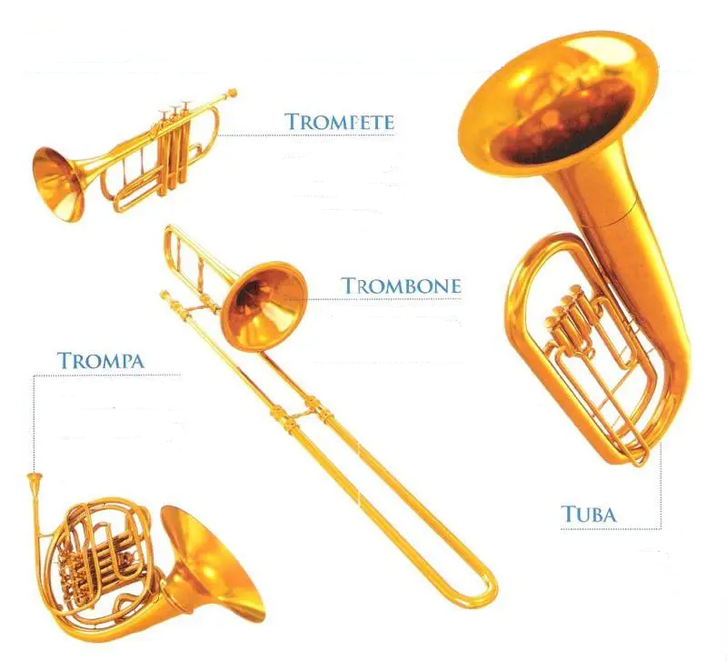 Instrumentos da Orquestra: Os Metais